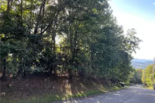 315 Pinnacle Ridge Rd, Beech Mountain, NC 28604 - Photo 1