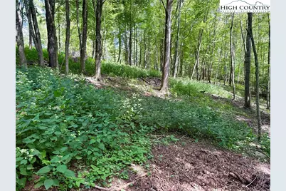 Tbd Lot #6 Mystery Mountain Drive, West Jefferson, NC 28694 - Photo 13