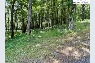 Tbd Lot #6 Mystery Mountain Drive, West Jefferson, NC 28694 - Photo 19