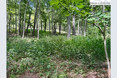 Tbd Lot #6 Mystery Mountain Drive, West Jefferson, NC 28694 - Photo 17