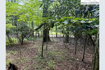 Tbd Lot #6 Mystery Mountain Drive, West Jefferson, NC 28694 - Photo 15