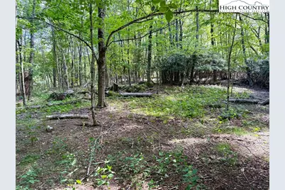 Tbd Lot #6 Mystery Mountain Drive, West Jefferson, NC 28694 - Photo 11