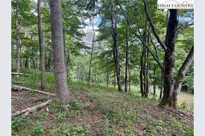 Tbd Lot #5 Mystery Mountain Drive, West Jefferson, NC 28694 - Photo 1
