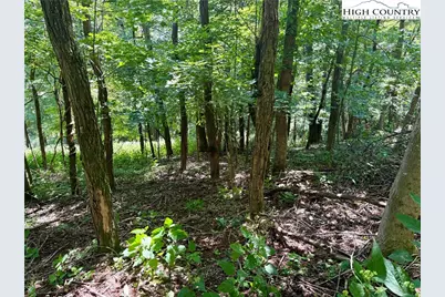 Tbd Lot #5 Mystery Mountain Drive, West Jefferson, NC 28694 - Photo 5
