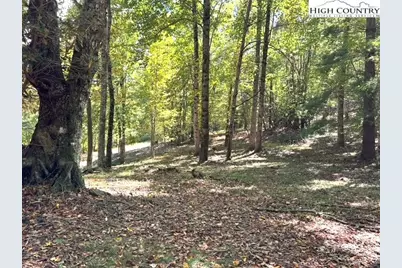 Tbd Mystery Mountain Drive, West Jefferson, NC 28694 - Photo 7
