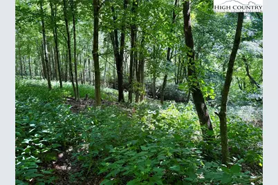 Tbd Mystery Mountain Drive, West Jefferson, NC 28694 - Photo 17