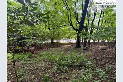 Tbd Mystery Mountain Drive, West Jefferson, NC 28694 - Photo 11