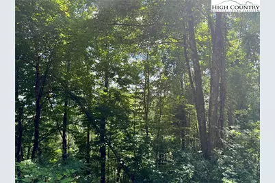 Tbd Mystery Mountain Drive, West Jefferson, NC 28694 - Photo 21