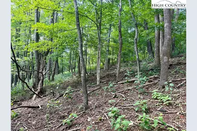 Tbd Mystery Mountain Drive, West Jefferson, NC 28694 - Photo 19