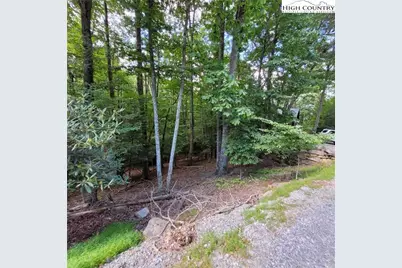 201 Jackpine Road, Beech Mountain, NC 28604 - Photo 3