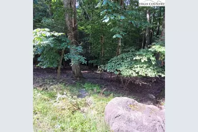 201 Jackpine Road, Beech Mountain, NC 28604 - Photo 5