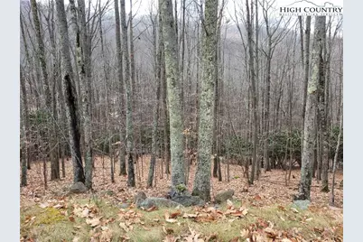 201 Jackpine Road, Beech Mountain, NC 28604 - Photo 11