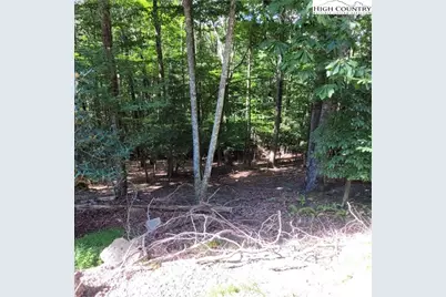 201 Jackpine Road, Beech Mountain, NC 28604 - Photo 1