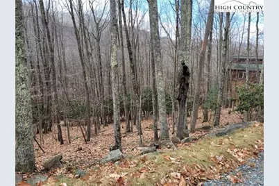 201 Jackpine Road, Beech Mountain, NC 28604 - Photo 9