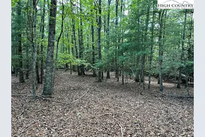 Tbd (Lot 34) Fox Crest Overlook, Laurel Springs, NC 28644 - Photo 9