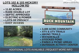 Lot 102 & 103 Hickory Hollow Rd, Purlear, NC 28665 - Photo 1