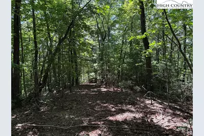Lot 102 & 103 Hickory Hollow Road, Purlear, NC 28665 - Photo 13