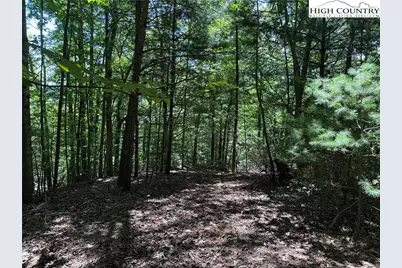 Lot 102 & 103 Hickory Hollow Road, Purlear, NC 28665 - Photo 17