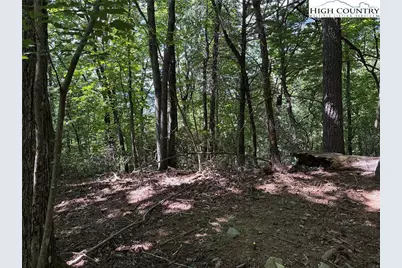 Lot 102 & 103 Hickory Hollow Road, Purlear, NC 28665 - Photo 15