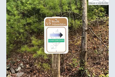 Lot 102 & 103 Hickory Hollow Road, Purlear, NC 28665 - Photo 25