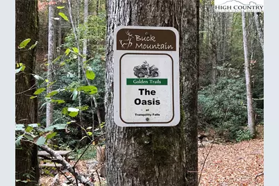 Lot 102 & 103 Hickory Hollow Road, Purlear, NC 28665 - Photo 29