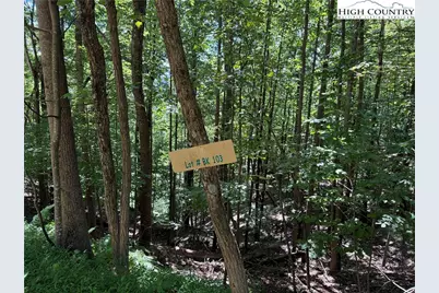 Lot 102 & 103 Hickory Hollow Road, Purlear, NC 28665 - Photo 11