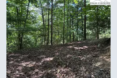 Lot 102 & 103 Hickory Hollow Road, Purlear, NC 28665 - Photo 5