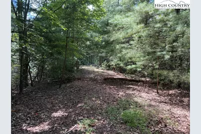 Lot 102 & 103 Hickory Hollow Road, Purlear, NC 28665 - Photo 3