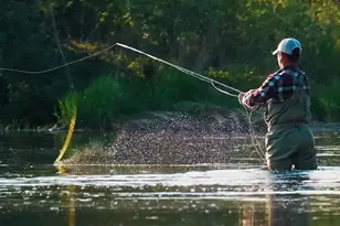 180 Eagle Vlg Cir, Banner Elk, NC 28604 - Photo 47