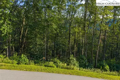 C52 Firefly Cove, Banner Elk, NC 28604 - Photo 1