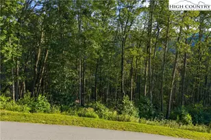 C52 Firefly Cove, Banner Elk, NC 28604 - Photo 1