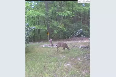 582 Deer Crossing Lane, Lenoir, NC 28645 - Photo 43