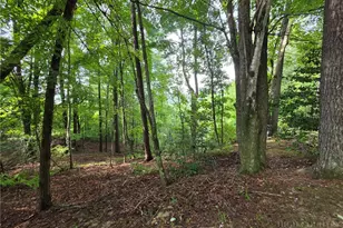 582 Deer Crossing Ln, Lenoir, NC 28645 - Photo 15