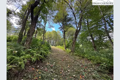 Tbd Wyeth Drive, Blowing Rock, NC 28605 - Photo 7