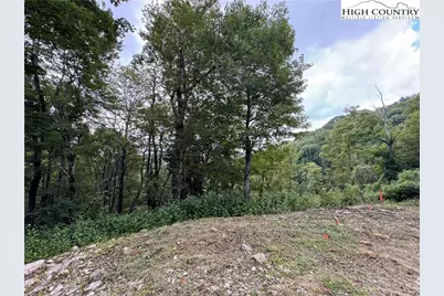 Tbd Wyeth Drive, Blowing Rock, NC 28605 - Photo 13