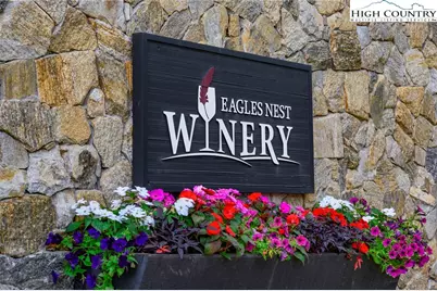 Es-10 Eagle Springs Trail, Banner Elk, NC 28604 - Photo 25