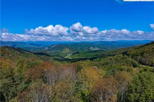 H406 Buffalo Nvno, Zionville, NC 28698 - Photo 1