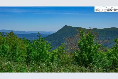 H406 Buffalo Nvno, Zionville, NC 28698 - Photo 27