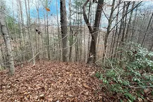 3308 Valley Dr, Lenoir, NC 28645 - Photo 1