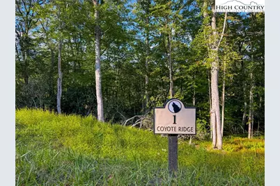 Lot R1 Coyote Trail, Boone, NC 28607 - Photo 1