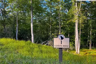 Lot R1 Coyote Trail, Boone, NC 28607 - Photo 1