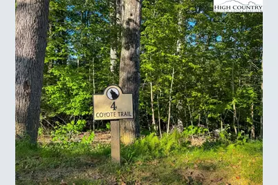 Lot T4 Coyote Trail, Boone, NC 28607 - Photo 1