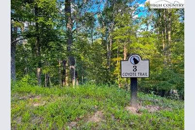 Lot T3 Coyote Trail, Boone, NC 28607 - Photo 1