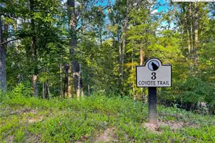 Lot T3 Coyote Trail, Boone, NC 28607 - Photo 1