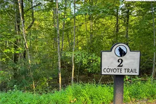 Lot T2 Coyote Trail, Boone, NC 28607 - Photo 1