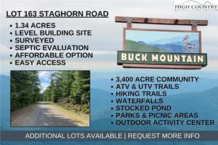 Lot 163 Staghorn Rd, Purlear, NC 28665 - Photo 1