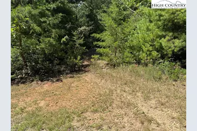 Lot 163 Staghorn Road, Purlear, NC 28665 - Photo 5