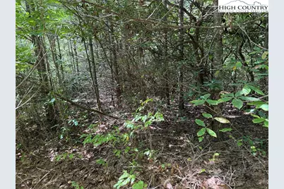 Lot 163 Staghorn Road, Purlear, NC 28665 - Photo 9