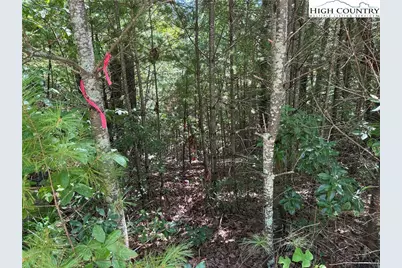 Lot 163 Staghorn Road, Purlear, NC 28665 - Photo 13