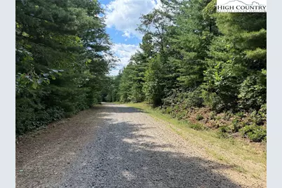 Lot 163 Staghorn Road, Purlear, NC 28665 - Photo 5